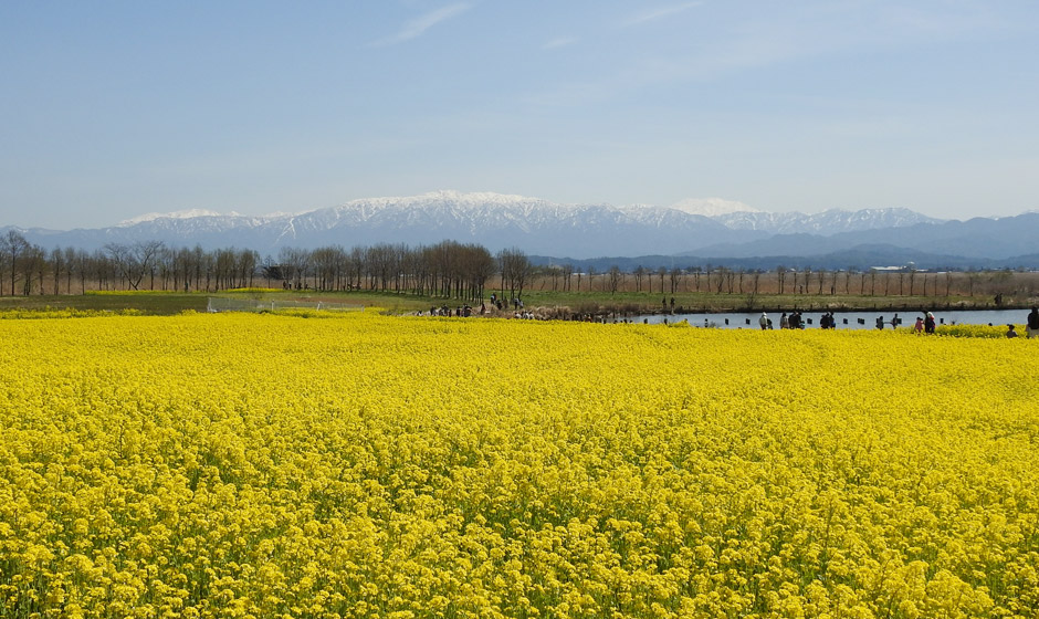 福島潟